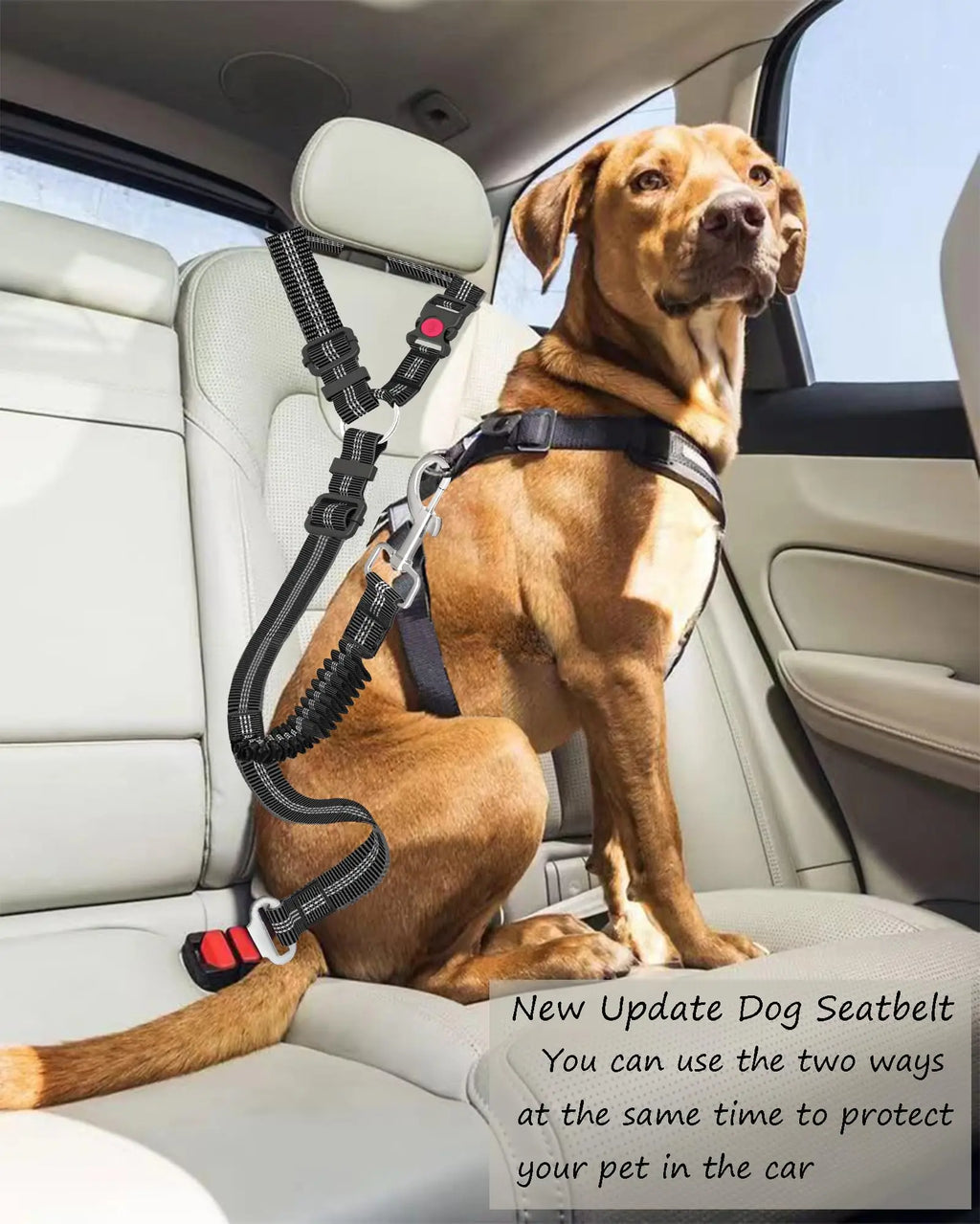 Adjustable Dog Car Seat Belt – Heavy Duty Nylon Safety Restraint for All Breeds | UK Road Legal