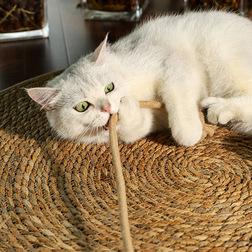 Scratch Protector Mat