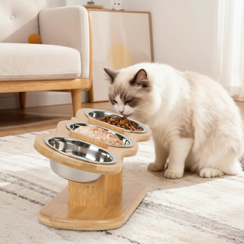 Raised Cat Bowls