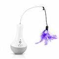 Interactive Cat Toy