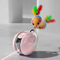 Mouse Chase Ball